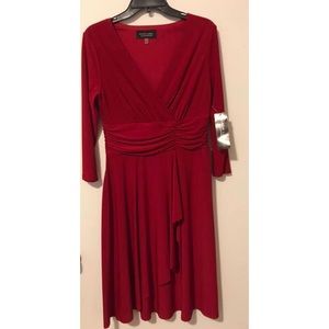 NWT beautiful side zip up dress